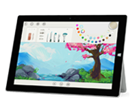 波密Surface 无法开启、Windows 无法启动或电池无法充电